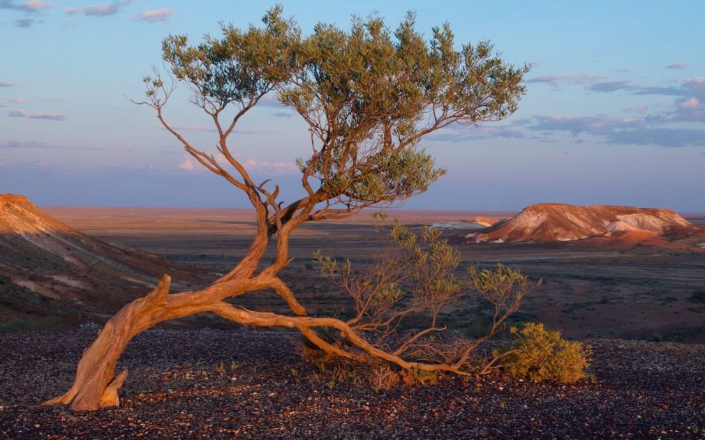 Patrick-White-Outback-Australien|Aliette Armel